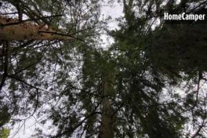 Campingplatz in Saint-Just-le-Martel, Nouvelle-Aquitaine