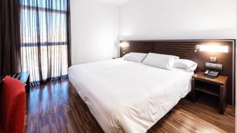 Globales Castillo de Ayud