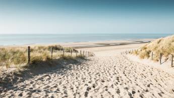 Hotel de Baak Seaside - adults only