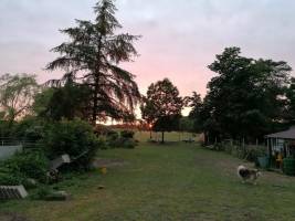 Desi's Arche am Waldrand in Hechthausen, Niedersachsen