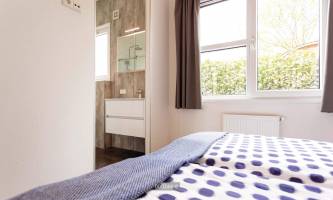 Z Module 6 people Wellness