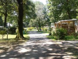 Camping OAKi
