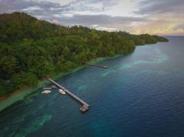 Bouwsteen 8 dagen duiken Raja Ampat dive resort - Waisai