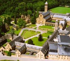 Das Dschungelcamp