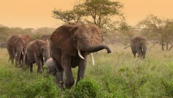 Rondreis Ontdek Zuid-Afrika