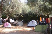 Camping Degli Ulivi
