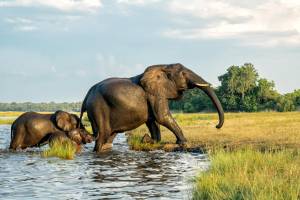 15-daagse rondreis NamibiÃ«, Botswana & Zimbabwe