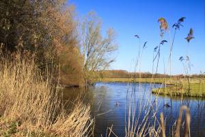 Secret Hotel omgeving Biesbosch