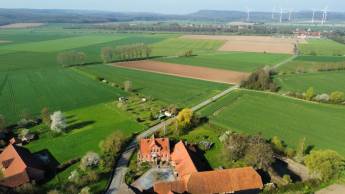 Idyllischer Stellplatz unter Trauerweide