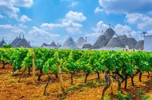 Privé wandelreis Puglia, wandelen tussen trulli, Matera en Barok