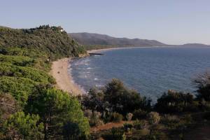 Puntala Camp & Resort