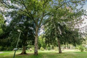 Camping Les Thézières Onlycamp