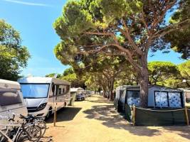 Camping Vall d'Or