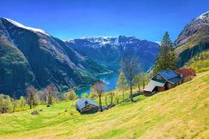 15 dg cruise Noord Europa Zuiderdam