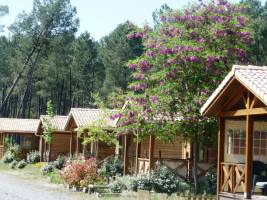 Camping Landes Oceanes
