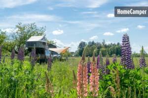 Campingplatz in Onzain / Veuzain-sur-Loire, Centre-Val de Loire