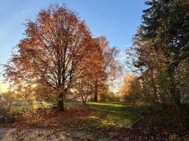 Bunter Hof am Rande der Stadt