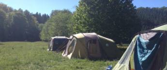 Roes Garden