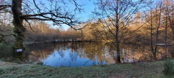 Bauernhofcamping mit Naturbadesee