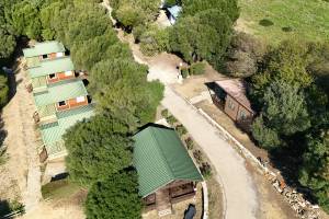 Taiga Tarifa Valdevaqueros