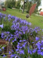Campingplatz in Crissey, Burgund-Franche-Comté