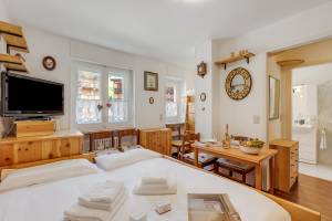 Hermitage Studio - close to ski pistes