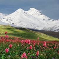 Rundreise Aserbaidschan, Georgien & Armenien, 21 Tage