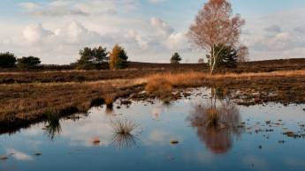 Fletcher Hotel-Restaurant De Zeegser Duinen