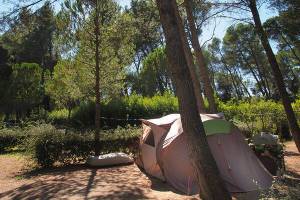 Camping Arcachon - Huttopia