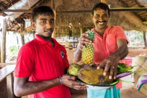 17-daagse privérondreis Sri Lanka met gids/chauffeur