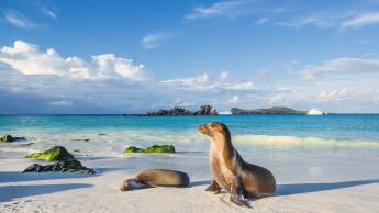 Beautiful Ecuador and Galapagos