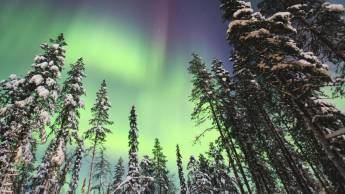 Lapland Hotels Sirkantähti