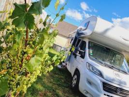 Campspace in Gaweinstal, Niederösterreich