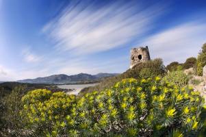 8 daagse fly drive Charme van Malta