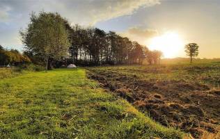 Platz für ein paar Traktorzelte in der Nähe des Naturschutzgebie