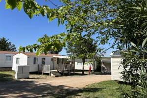 Camping Borepo