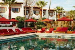 Petunia Ibiza A Beaumier