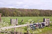 Minicamping Pitteperk