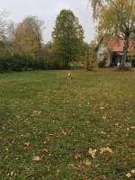 Naturcamping im Schwarzwald.