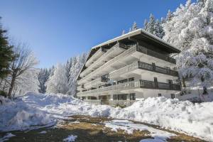 Résidence Androsace 53