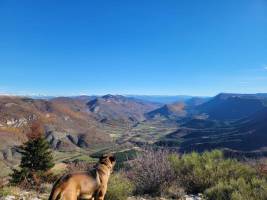 Campingplatz in Barret de Lioure, Auvergne-Rhône-Alpes