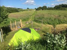 Naturcamping nahe der Ostsee