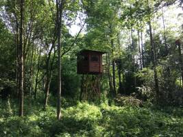 Het Hak Hout: Vogelhütte in der Nähe des Utrechtse Heuvelrug