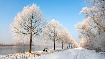 Hotel Restaurant Jägerhof