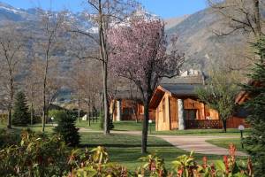 Lazy Bee Camping Village