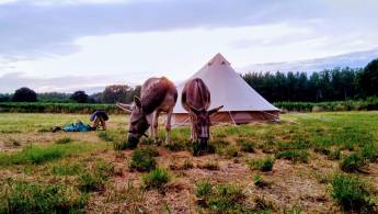 Übernachtung an einem großen natürlichen Binnensee – Flandern