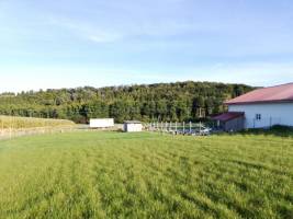 Auszeit - Camping am Hühnerhof