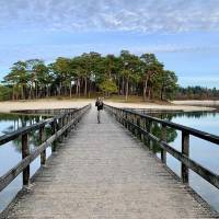 Campingplatz in Maarn, Utrecht