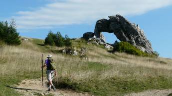 Flower Camping Ser Sirant