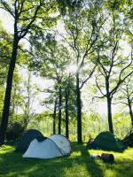 Campingplatz in Lippelo: Möge der Wald mit Ihnen sein